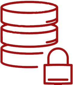Net X Information Systems, Inc icon for Data protection Net X Information Systems, Inc icon for Data protection