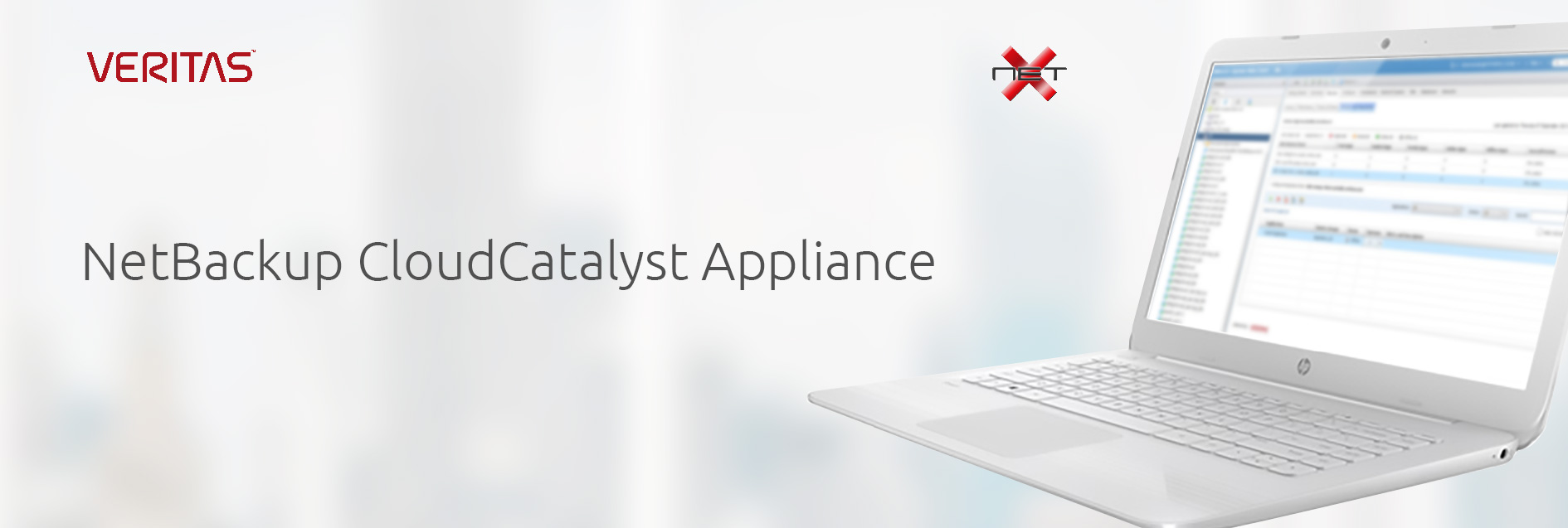 netx-veritas-cloud-catalyst-banner