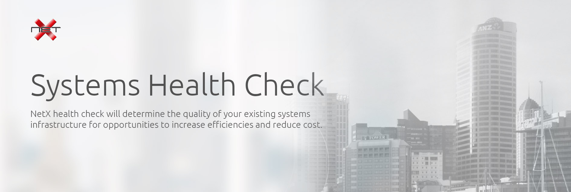 NetX System Health Check