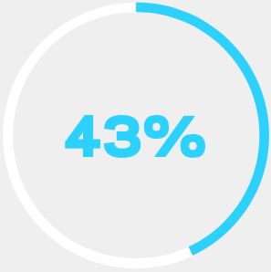 43 percent progress circle
